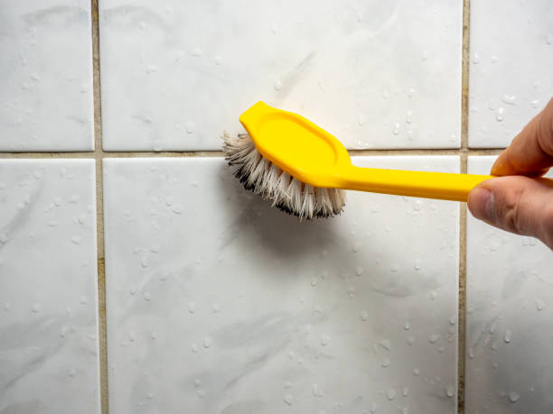 Best Mold Remediation  in Brewster Heights, NY