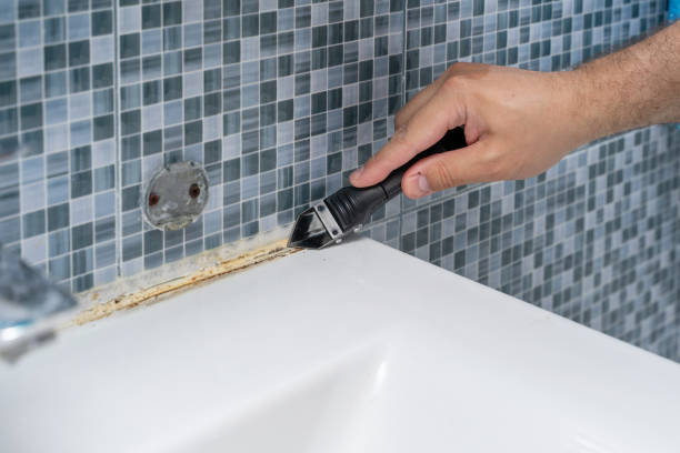Best Home Mold Removal  in Brewster Heights, NY